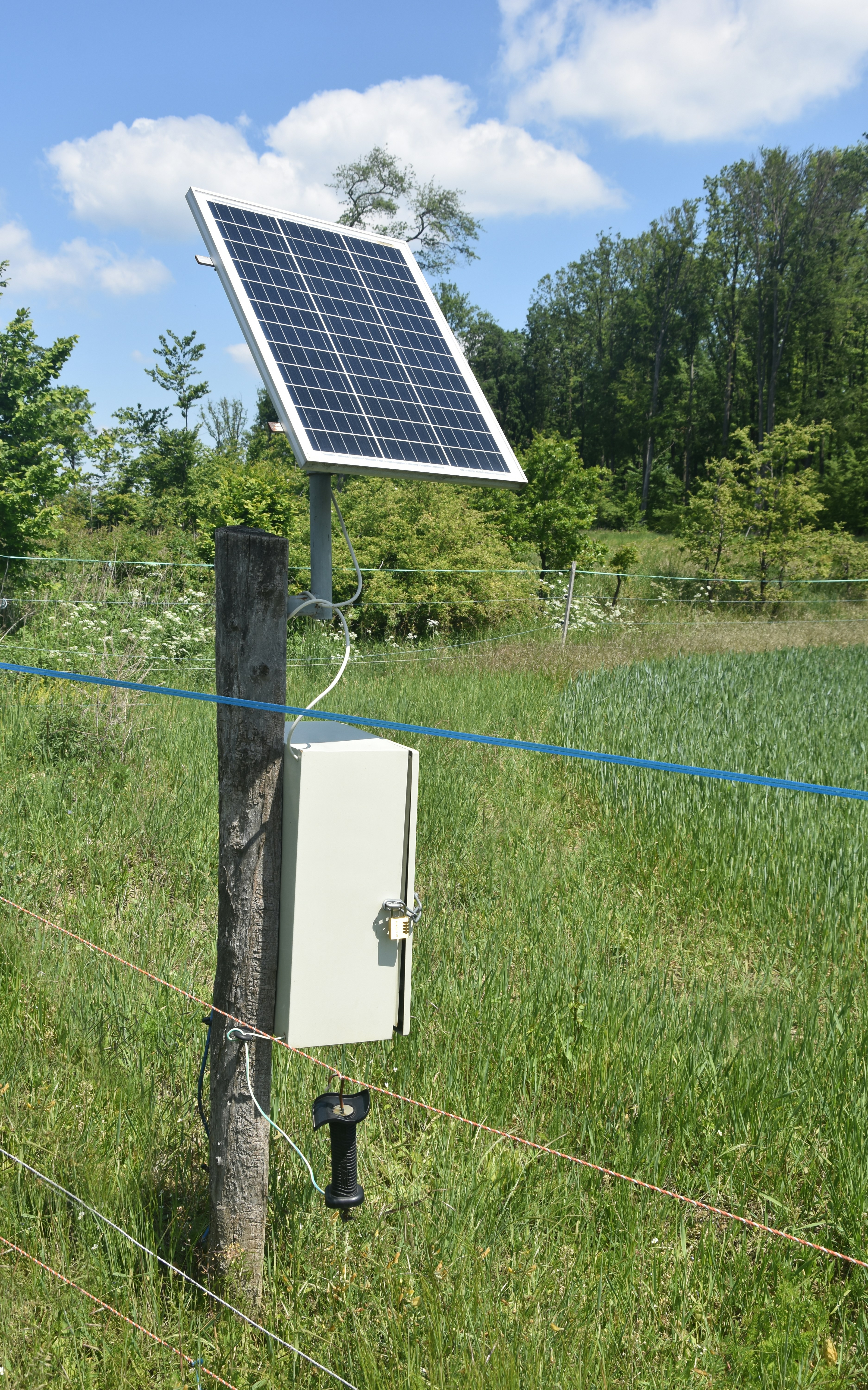 Solar Water Pumping